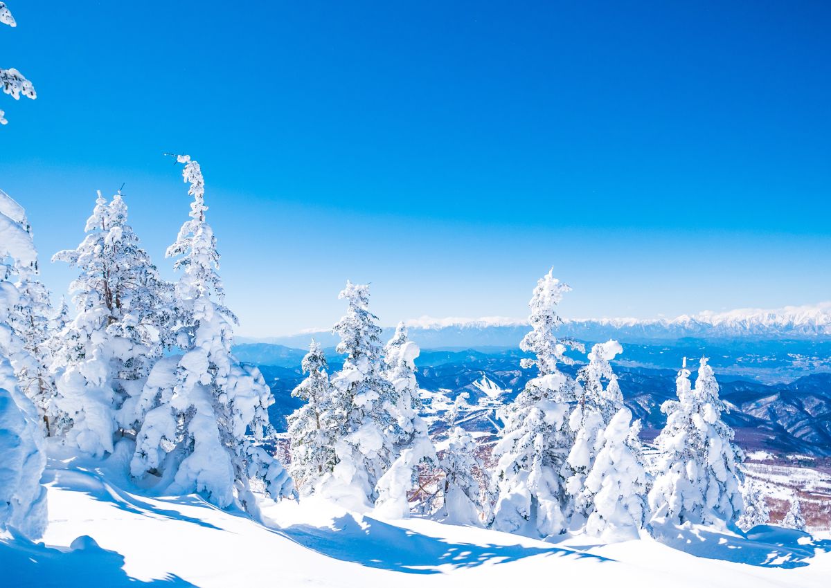 Snow monsters in Sugadaira ski resort, Nagano, Japan