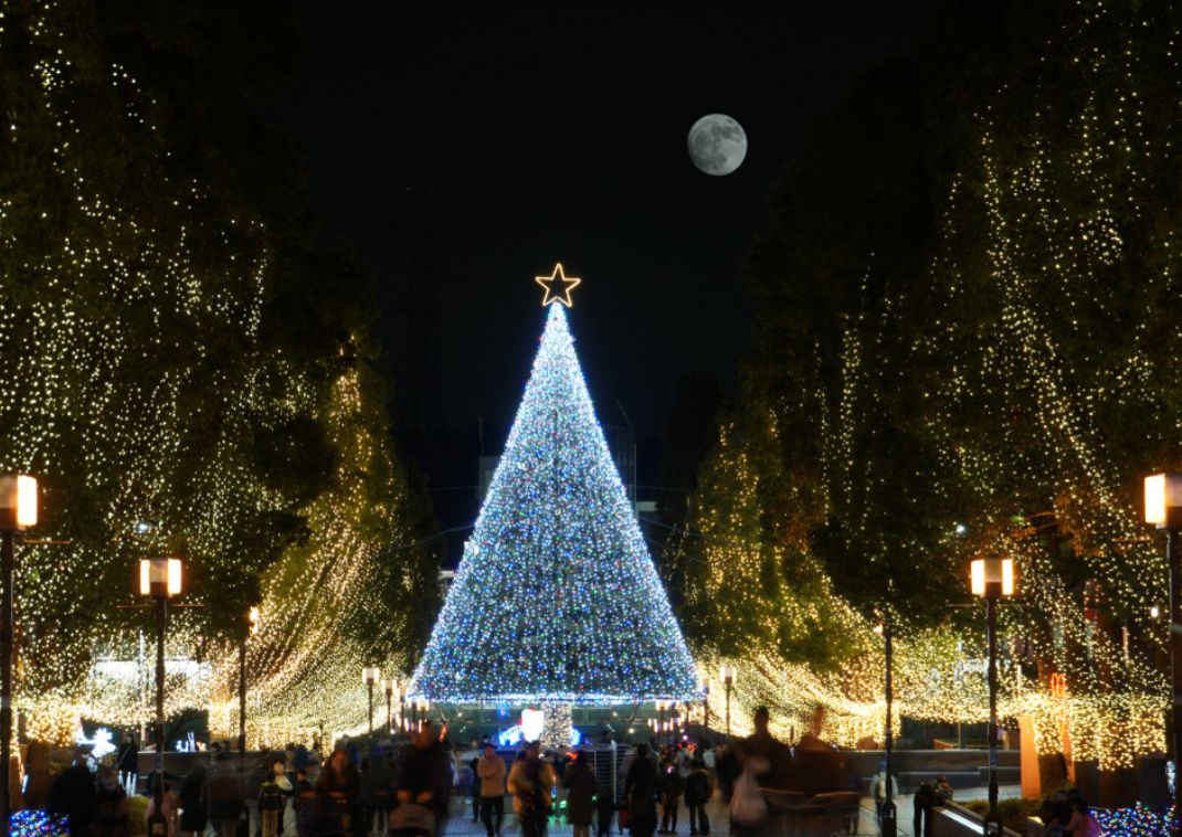 Illumination light up event at Christmas in Tokyo