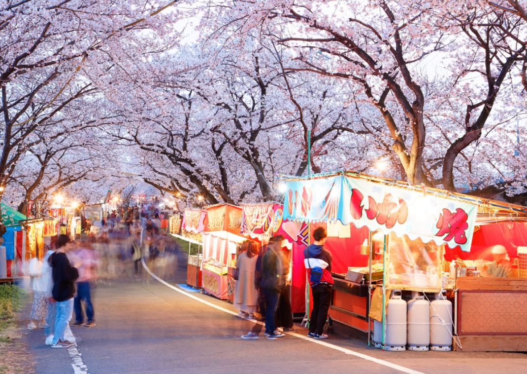  Cherry blossom festival in Japan with people rushing around