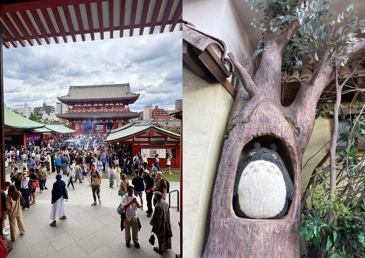 Senso-ji temple in Asakusa and Ghibli Totoro plush figure