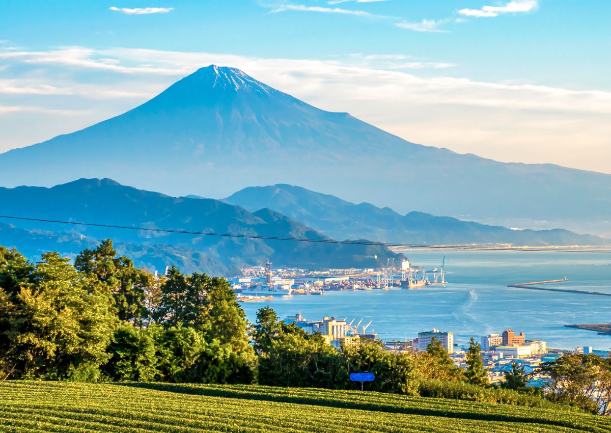 Mt. Fuji view with tea fields, Shizuoka, Japan