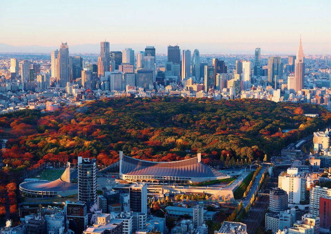 Autumn foliage in central Tokyo, Japan