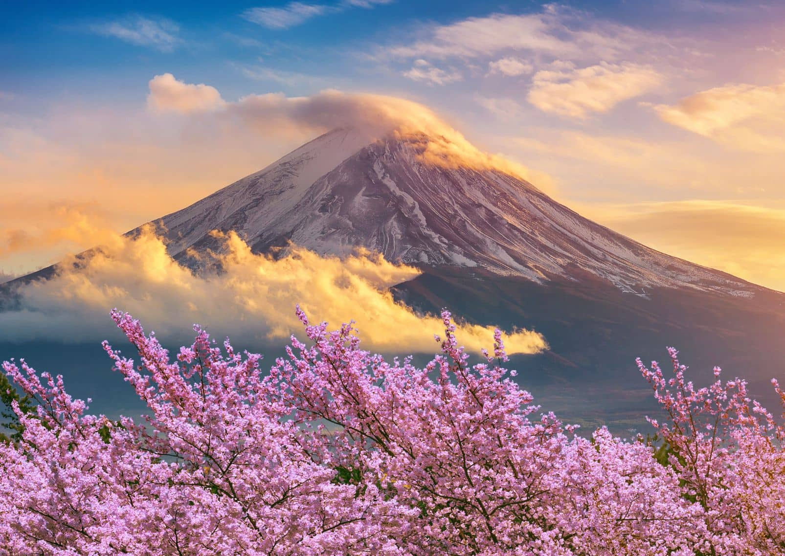 Mount Fuji and cherry blossoms in spring, Japan