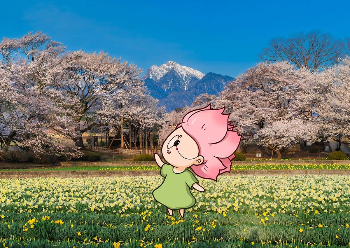 Mono-chan mascot showing cherry tree in Yamanashi, Japan