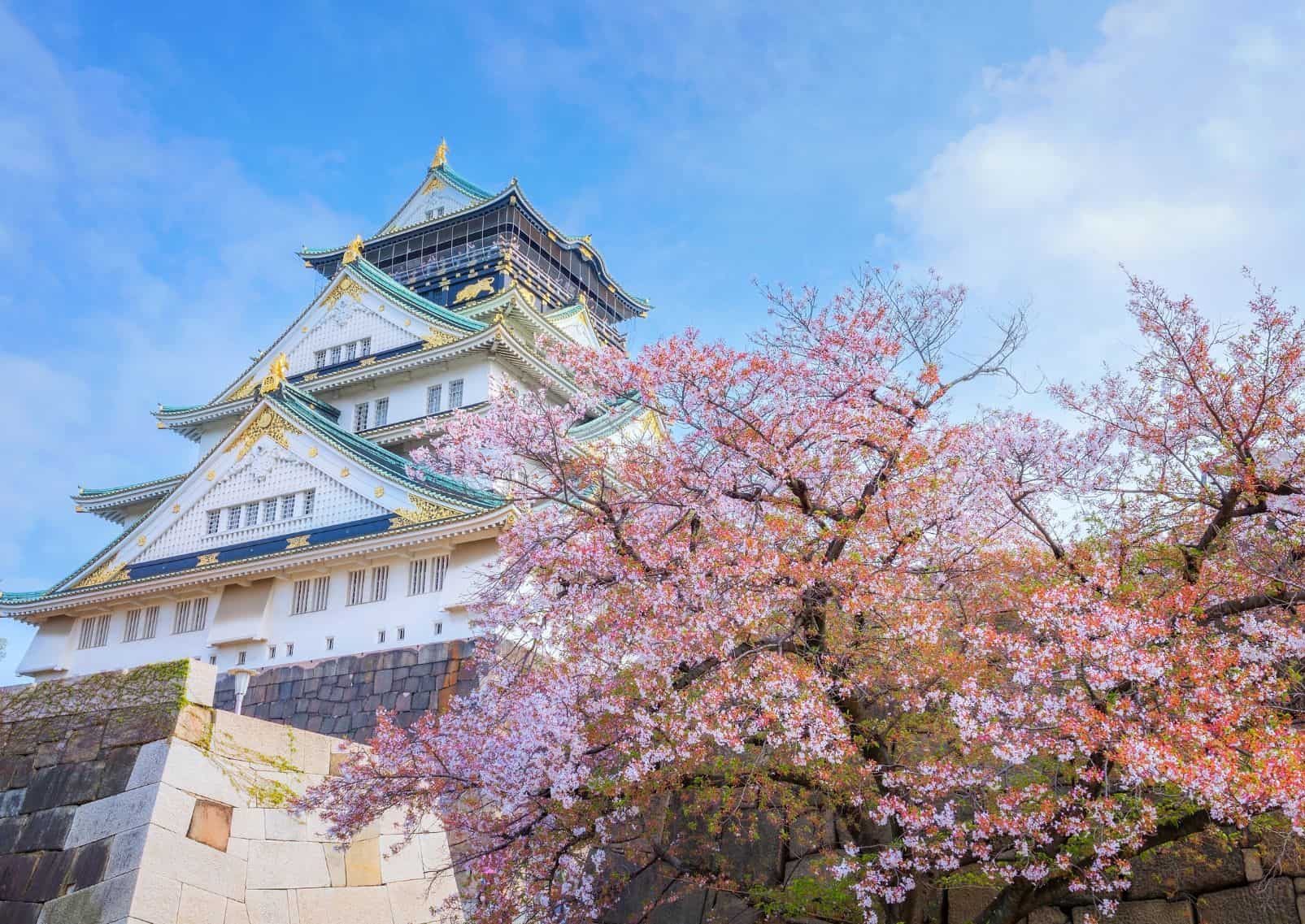 Osaka Castle with cherry blossoms framing it on a sunny day