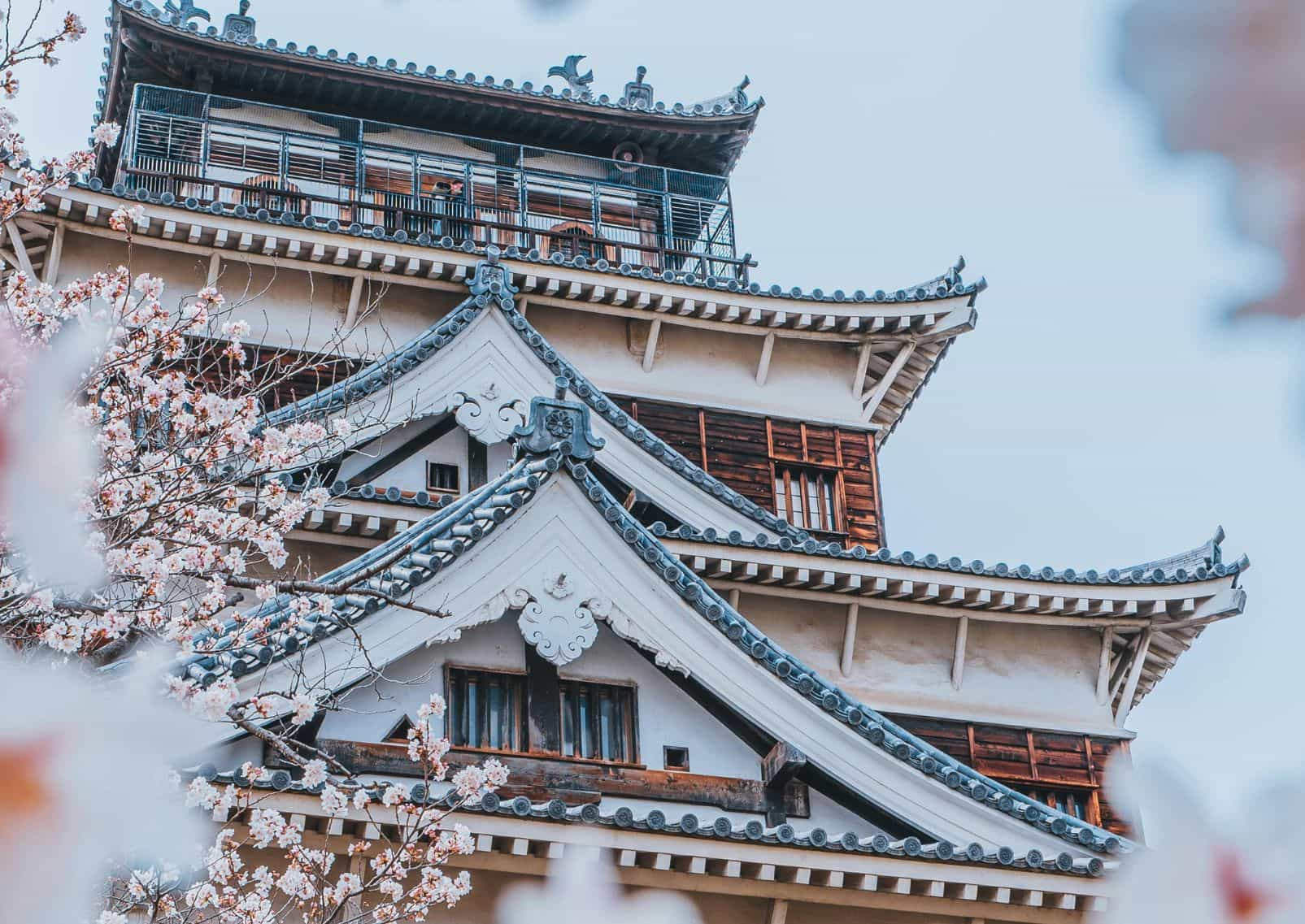 Hiroshima Castle with cherry blossom, Japan