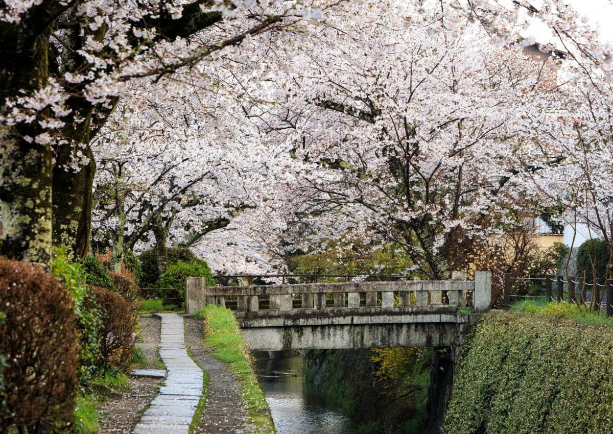 The Philosopher's Path