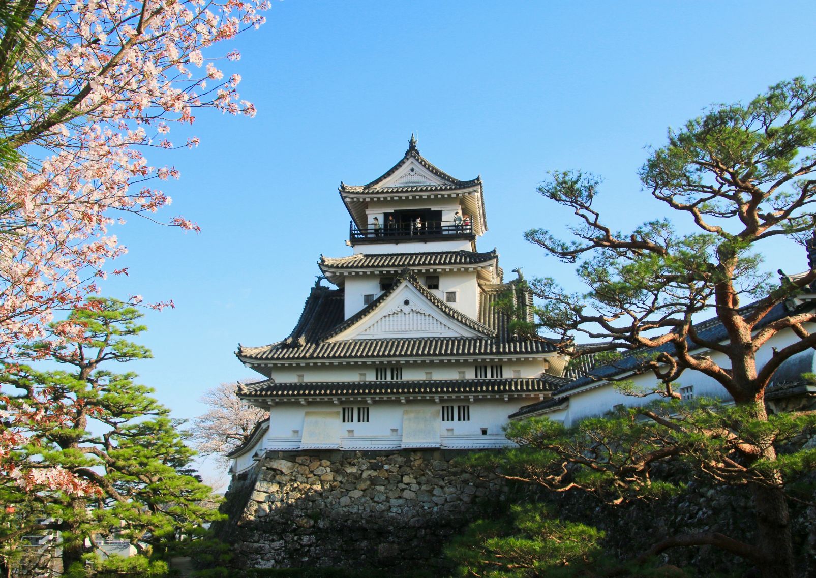 Kochi Castle in spring, Kochi, Japan