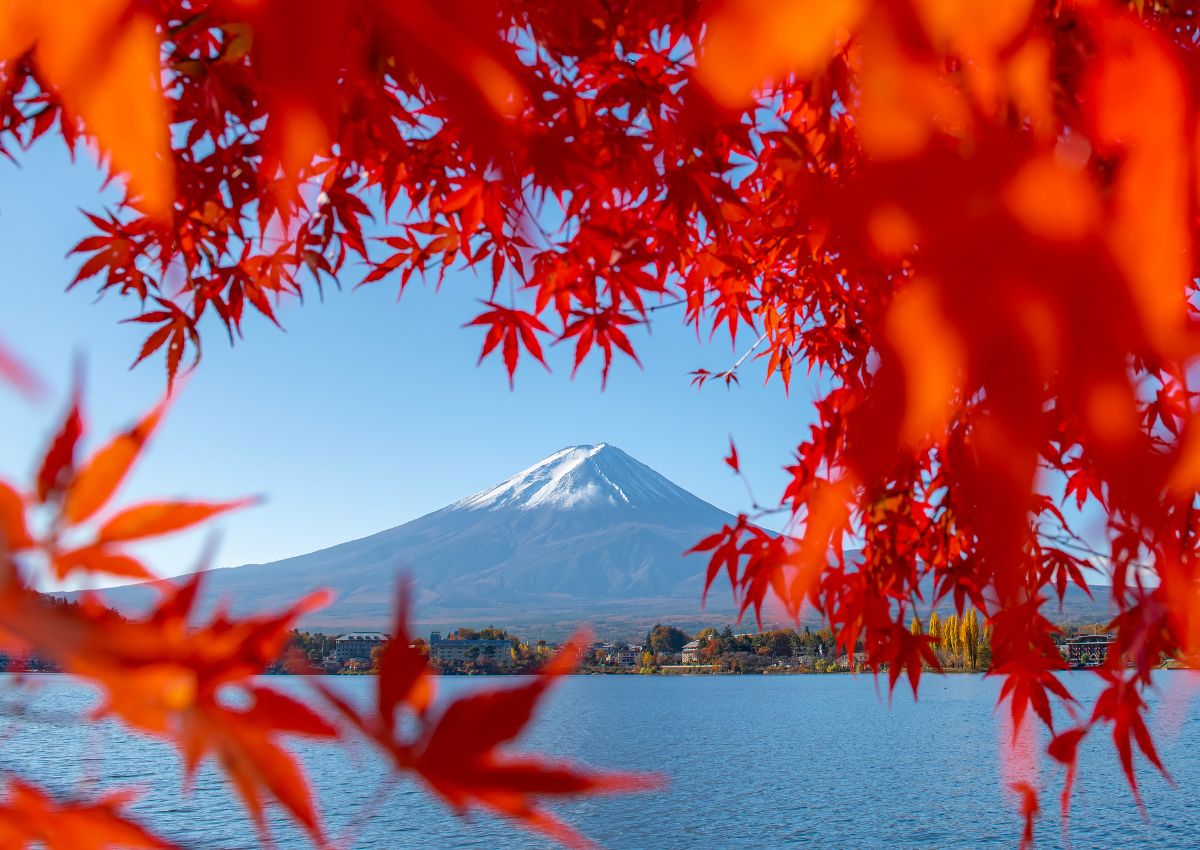 Mount Fuji with red maple leaves in autumn, Japan