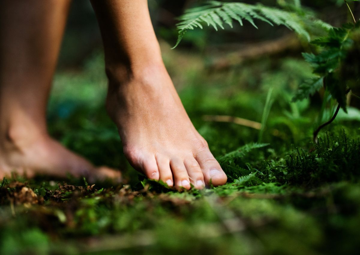 Woman’s bare feet standing in a forest