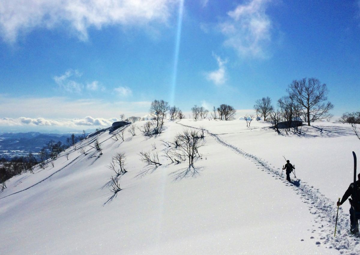 Freeride skiers on the mountain in Niseko, Hokkaido