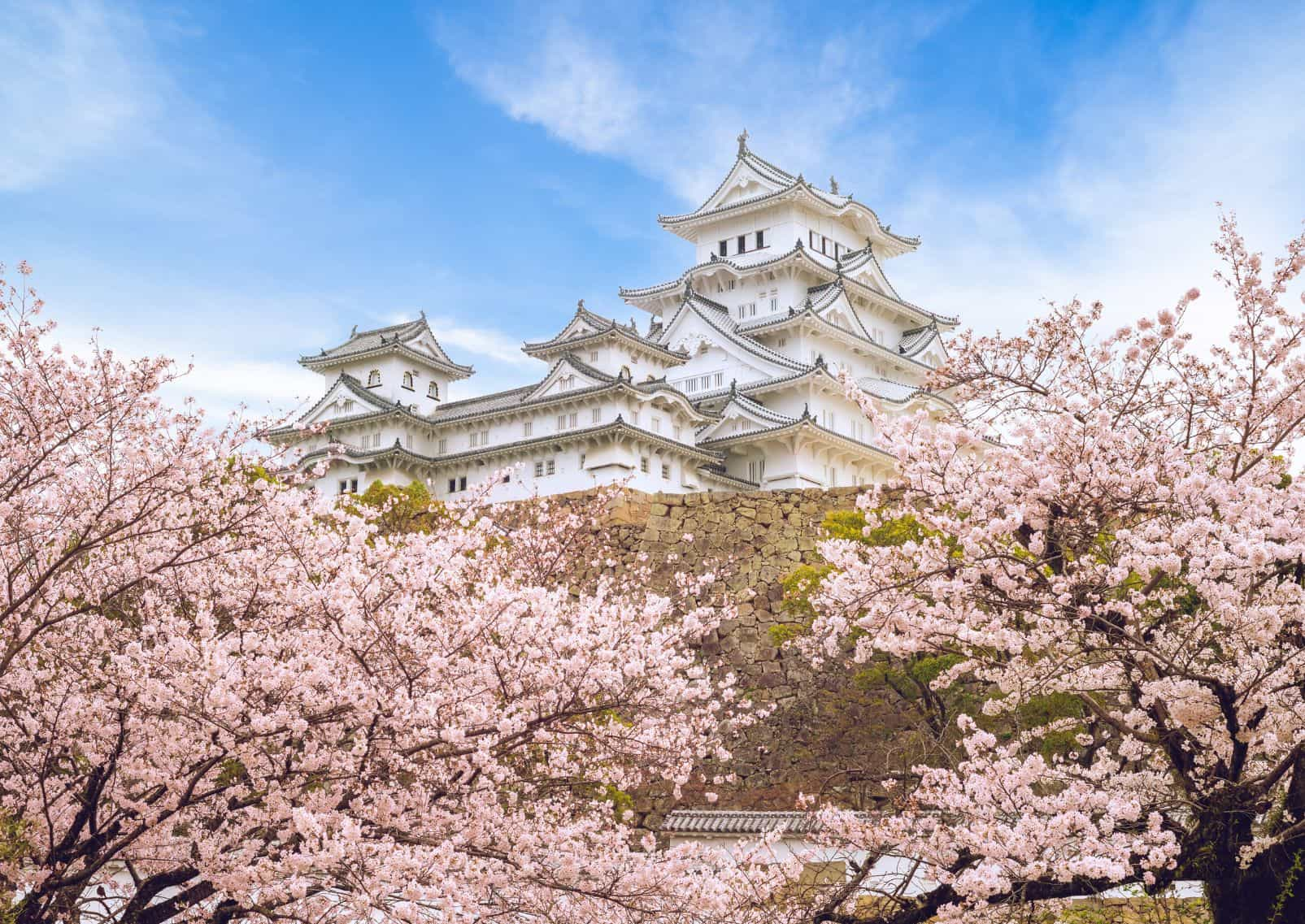 Himeji castle at cherry blossom season, Japan