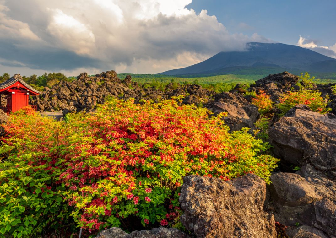 Volcanic rocks in the Onioshidashi Park near Mount Asama in Japan