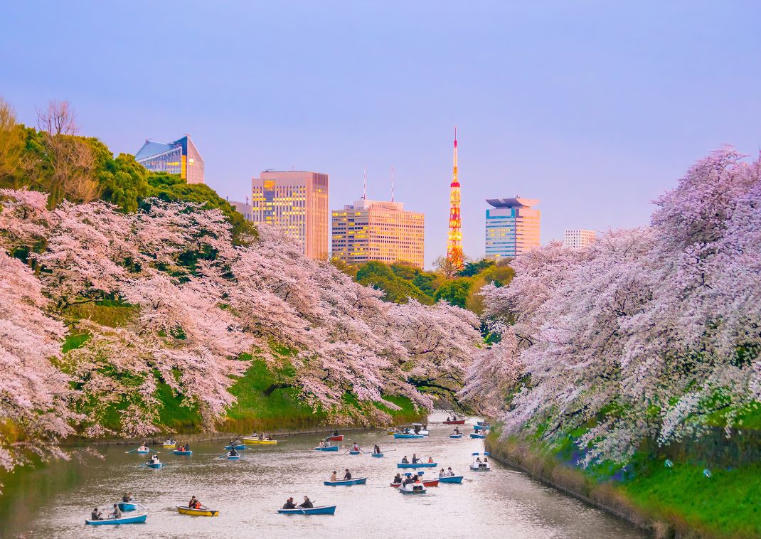 Ueno Park in spring, Tokyo, Japan