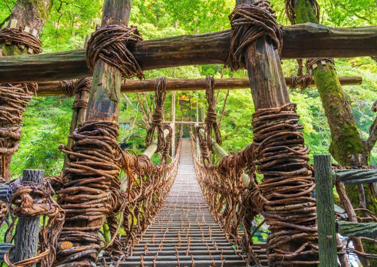 Kazurabashi vine bridge