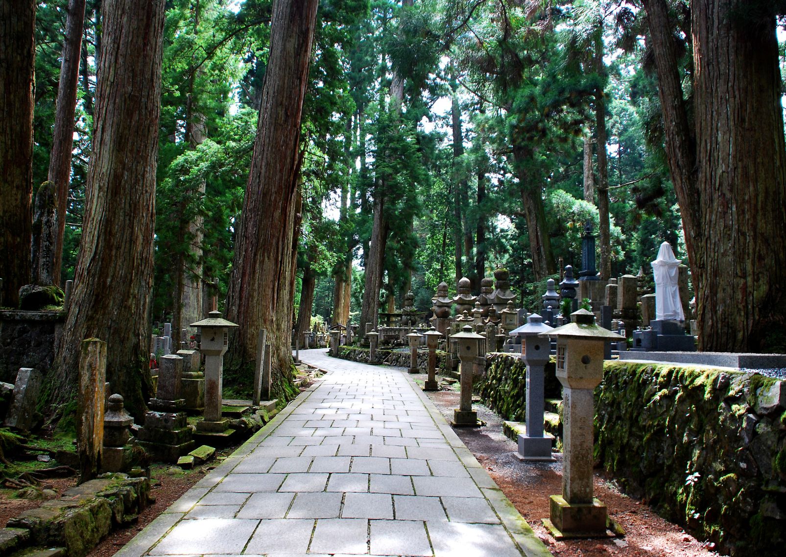 Hiking trail in Mount Koya