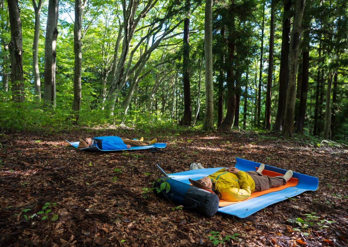 People lying on forest floor during shinrin-yoku experience in Japan
