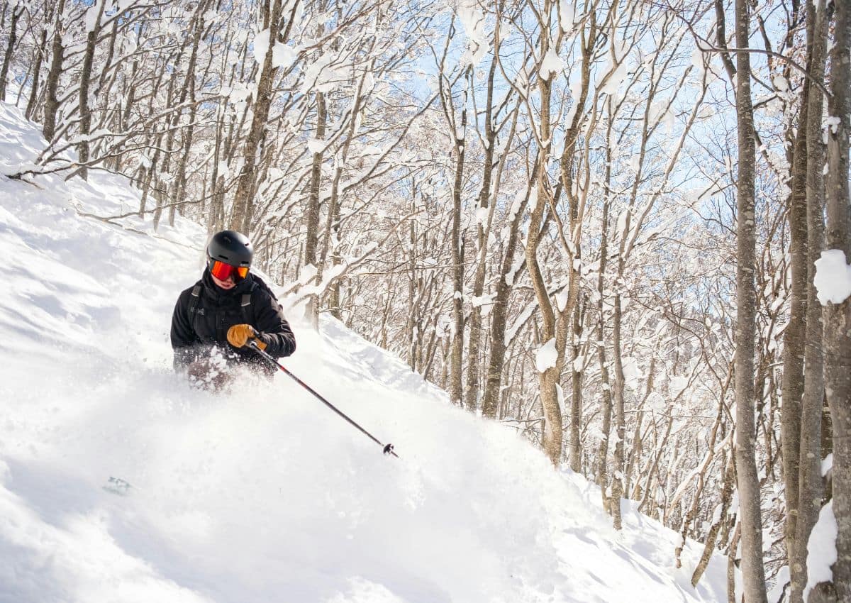 Tree skiing in Tsugaike Kogen ski resort, Hakuba, Japan