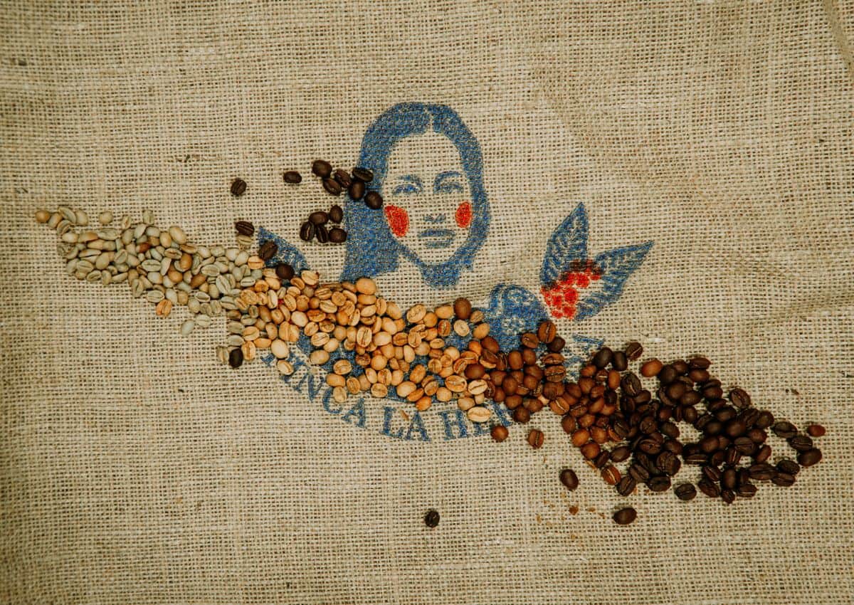 Logo of Coffee Roasters surrounded by coffee beans