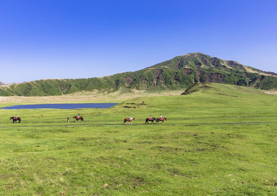 Cattle grazing on Mt Aso, Japan