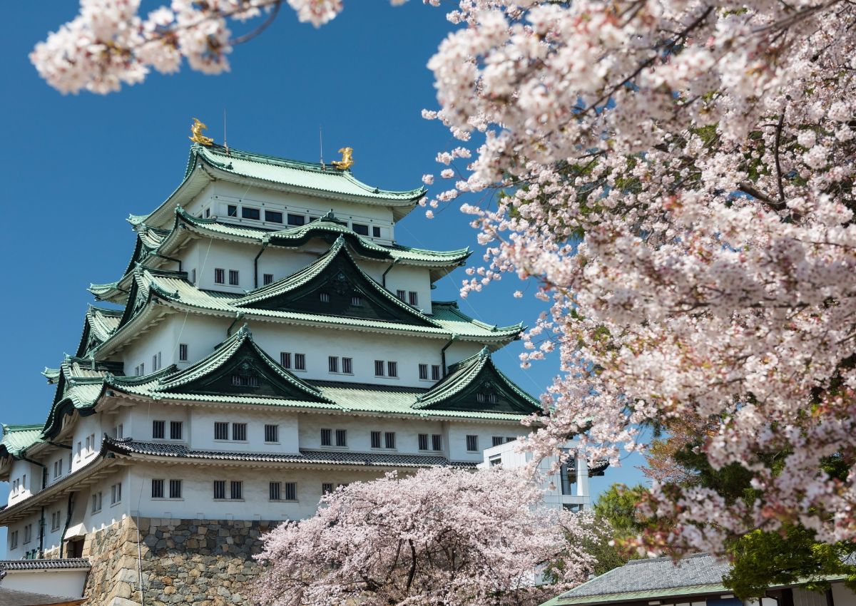 Nagoya Castle in cherry blossom season