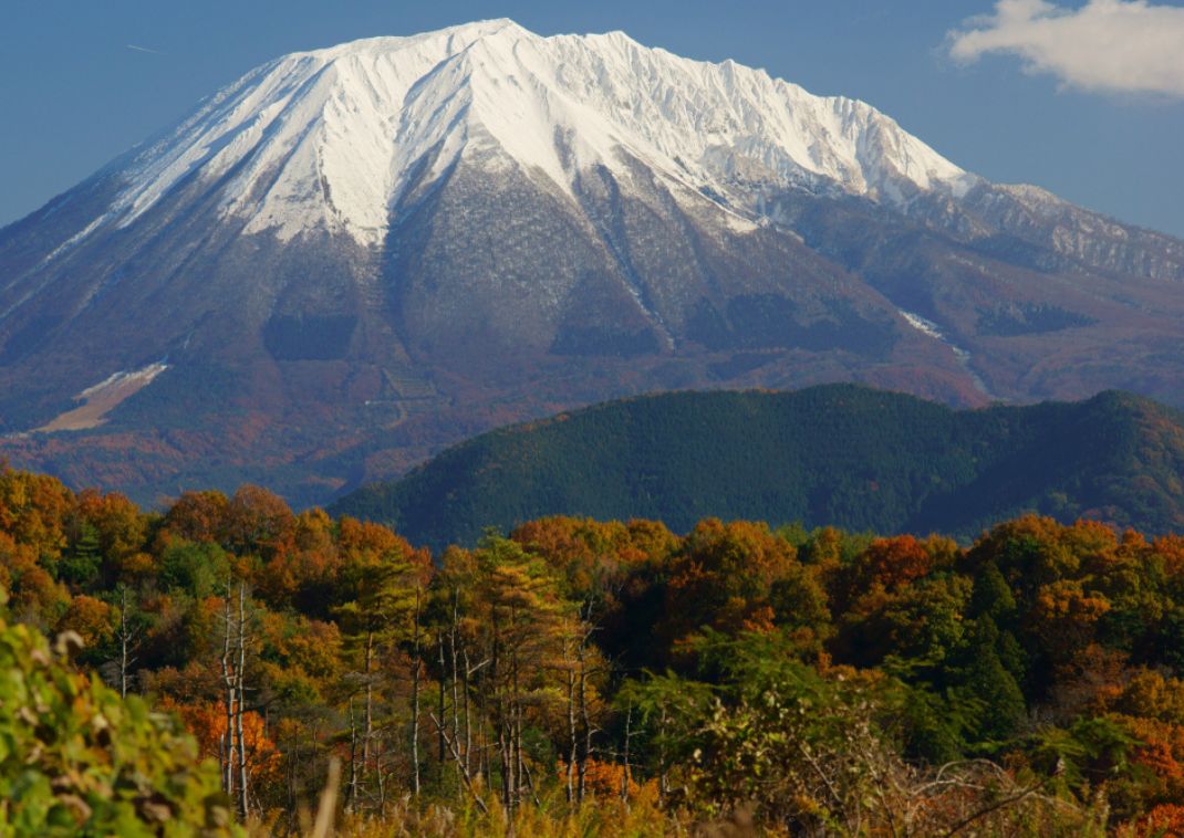 Mt. Daisen and the southern forest in autumn