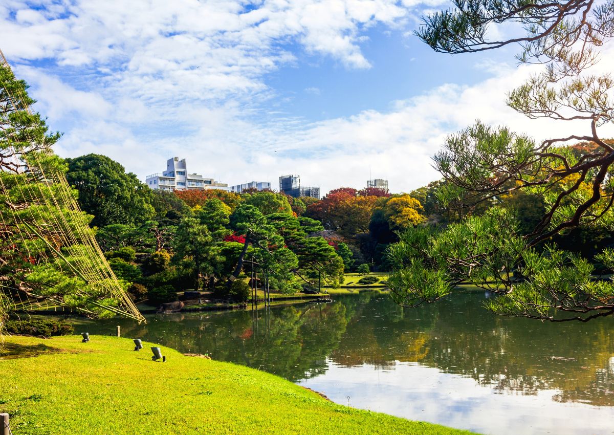  calm pond in Rikugien Garden in Tokyo