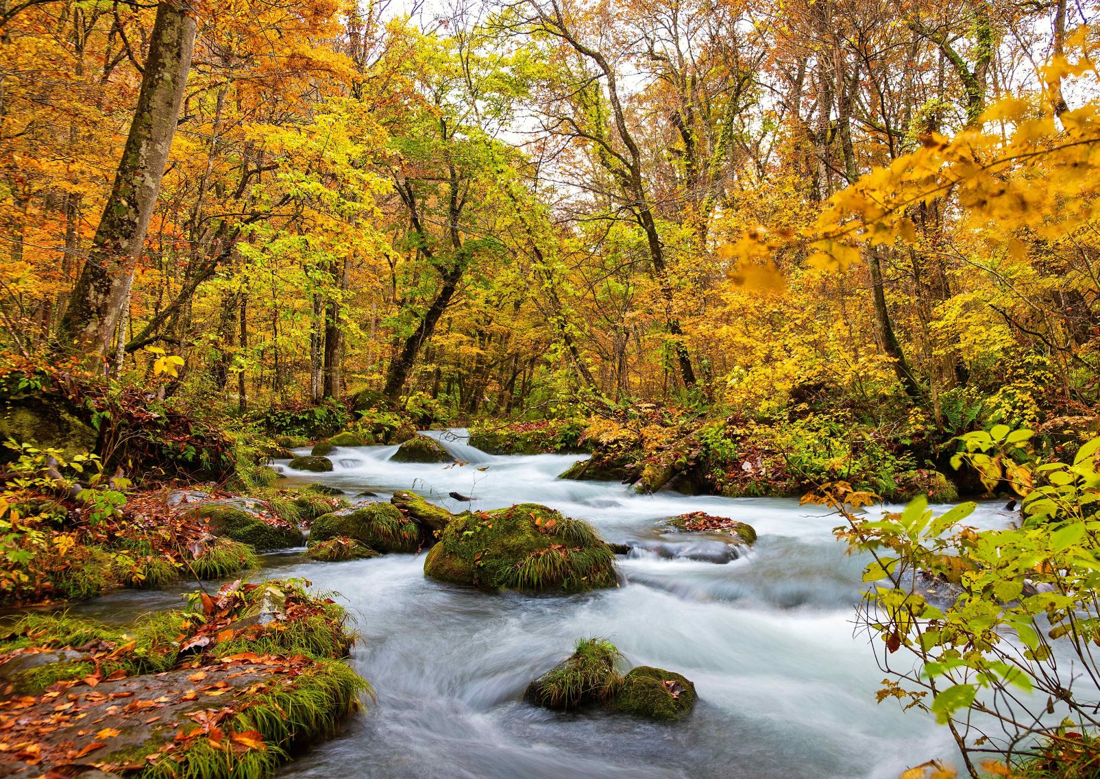 The beautiful autumn scene of Waterfall in Oirase stream, Towada, Japan 