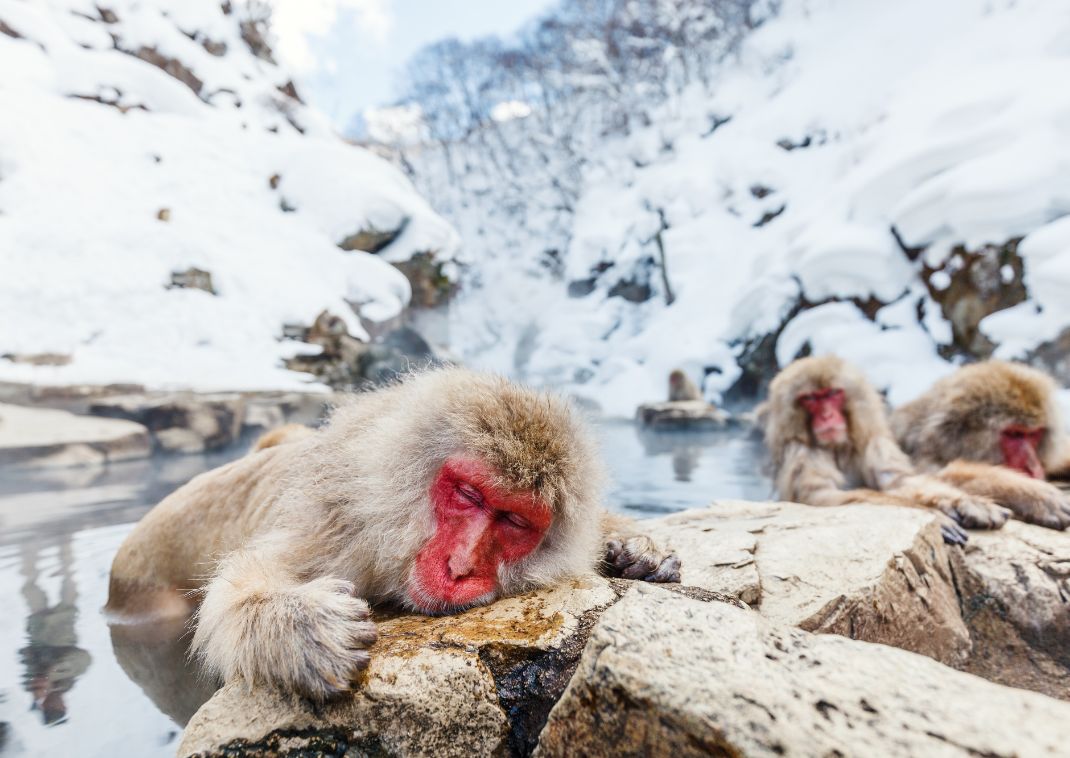 Private bath with Mt. Fuji view, Japan