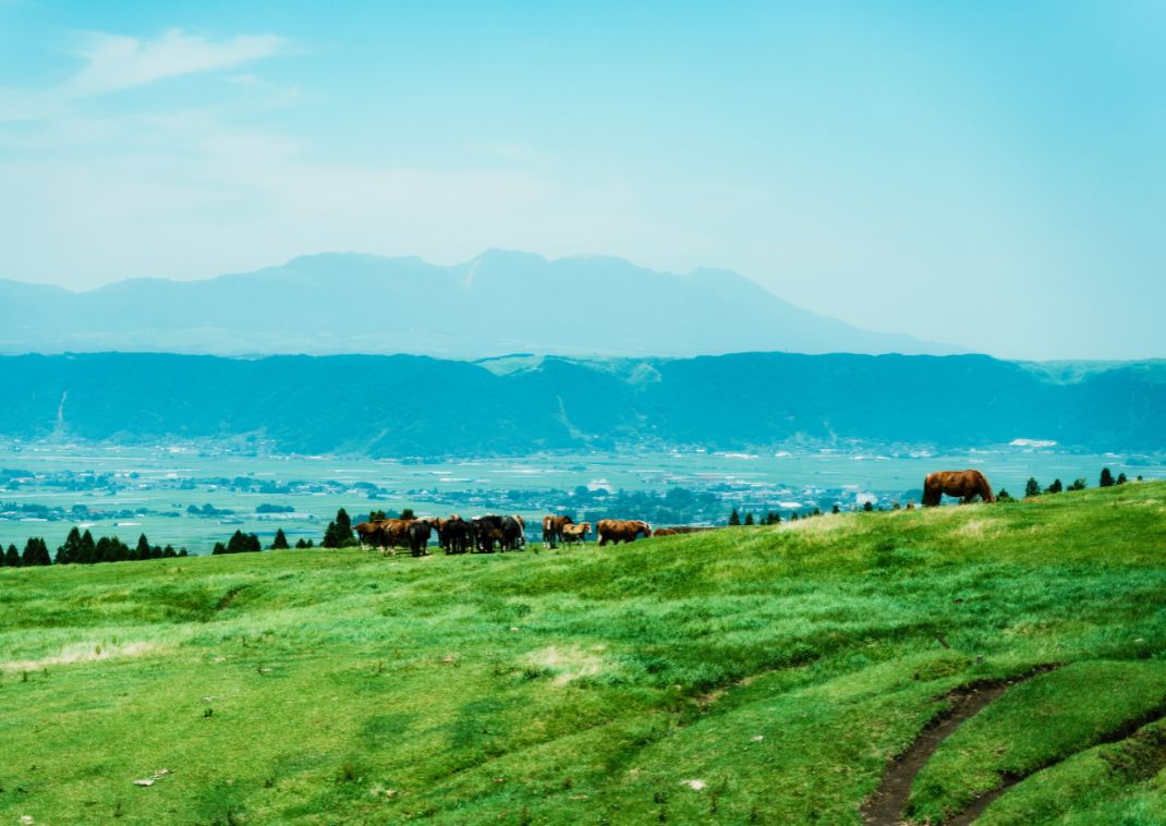 Horseriding in Kusasenri, Mt Aso, Japan