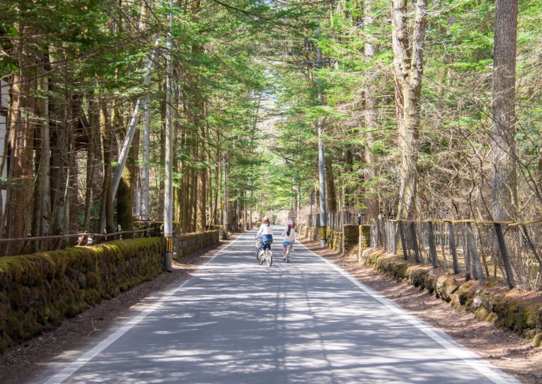 Bicycling on Karuizawa’s forest roads