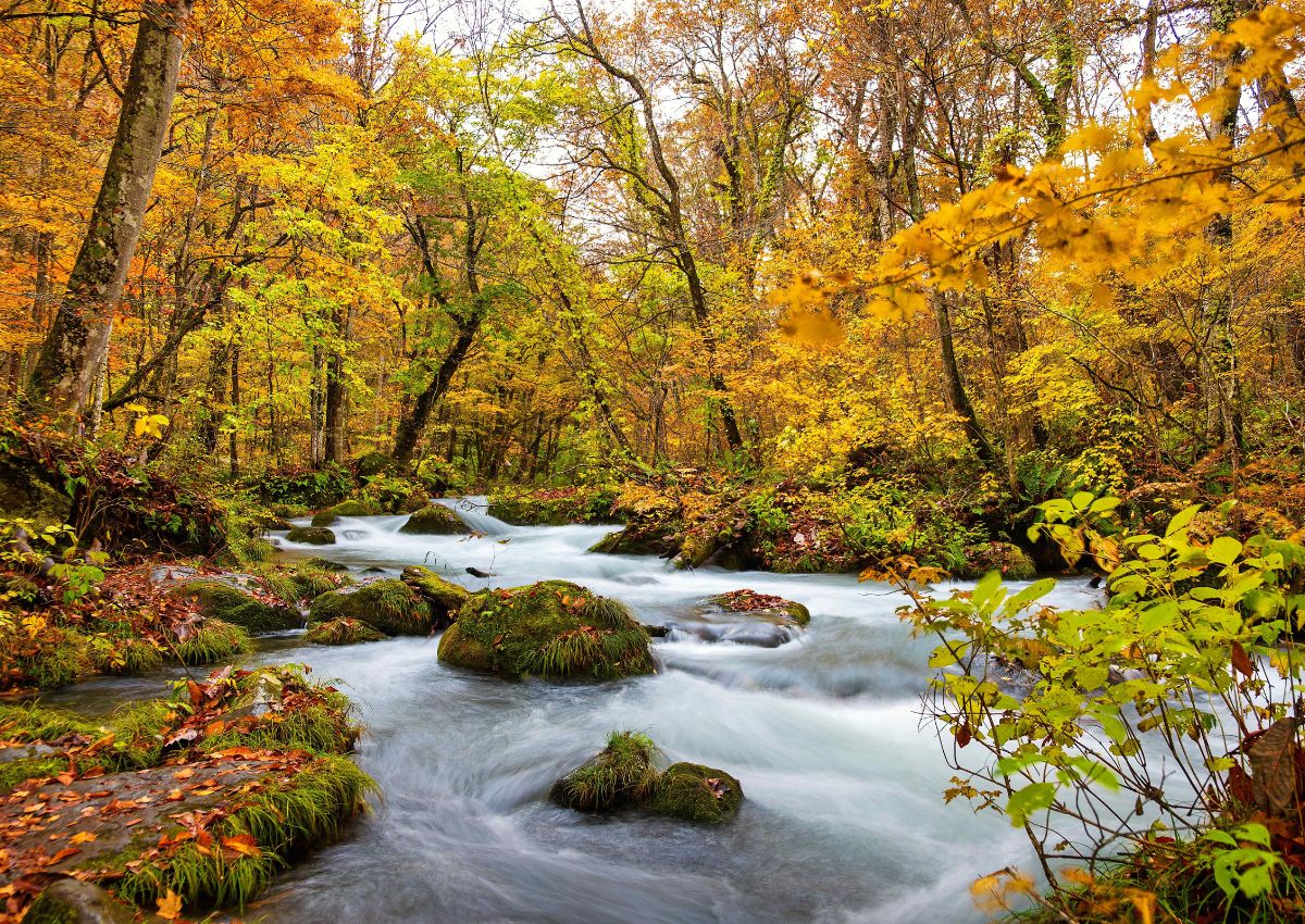 Oirase Gorge in autumn, Aomori, Japan