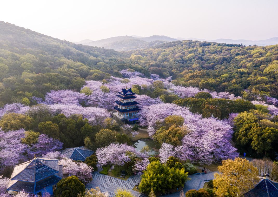 Sunrise at Suncheon bay, South Korea