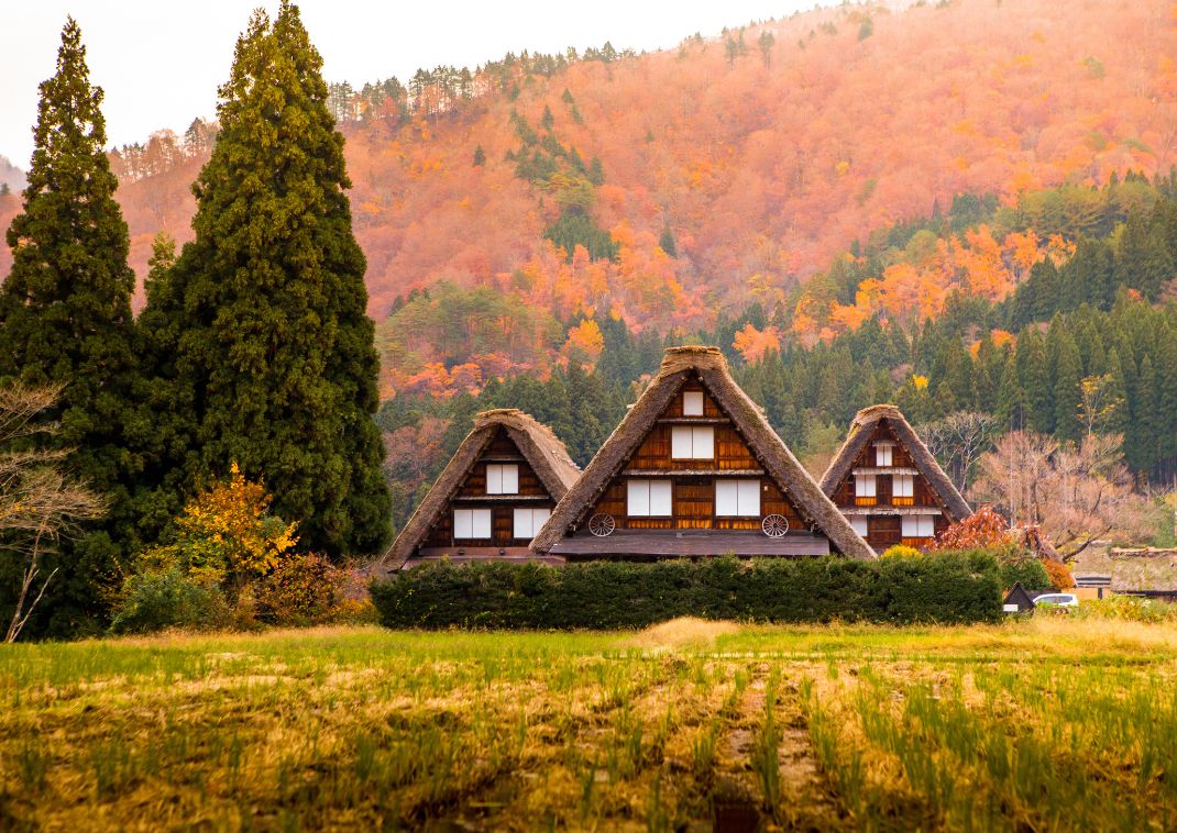 World heritage huts in Shirakawago, Japan