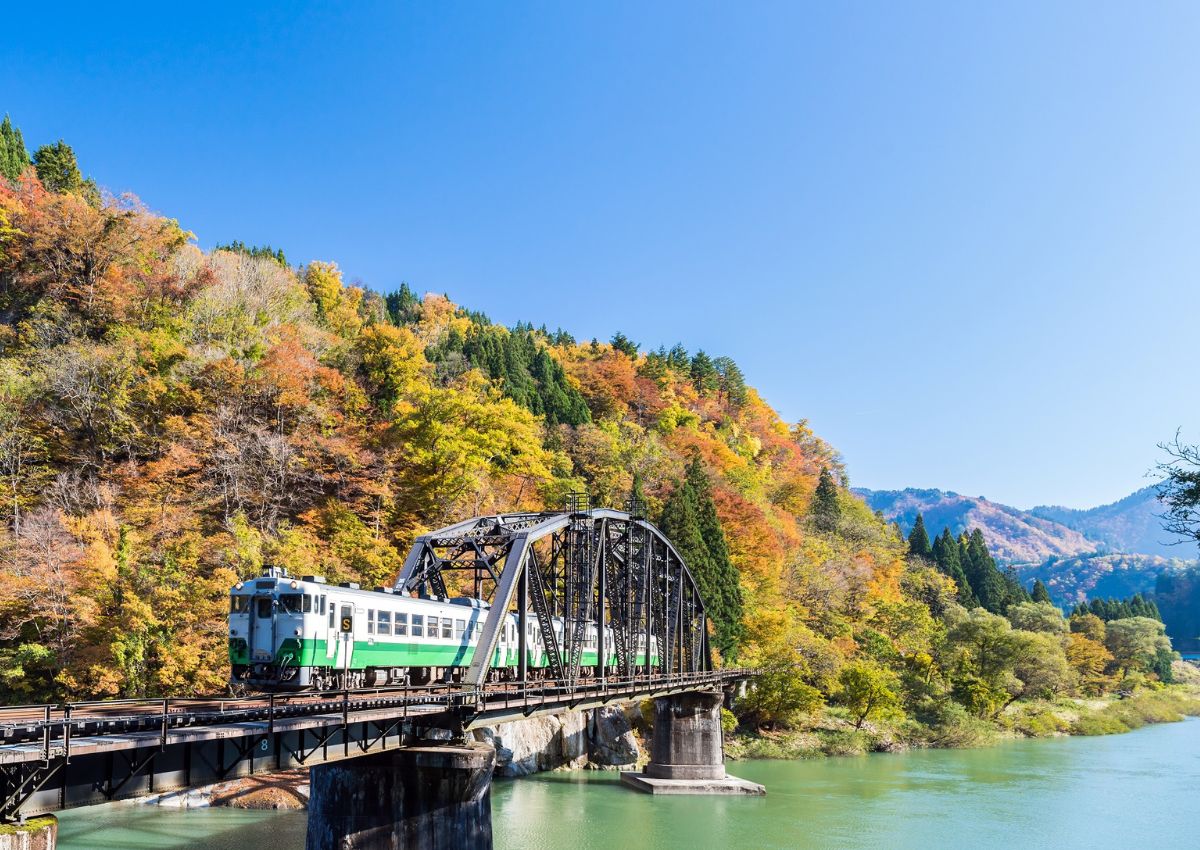 Local train in autumn in Fukushima, Japan