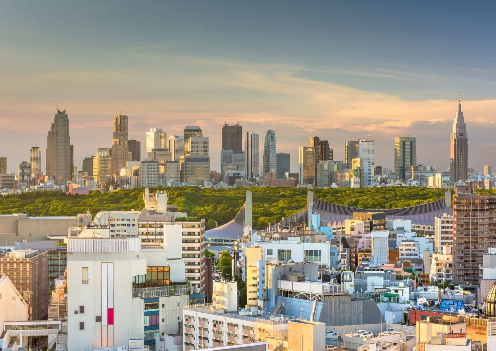 West Tokyo’s skyline