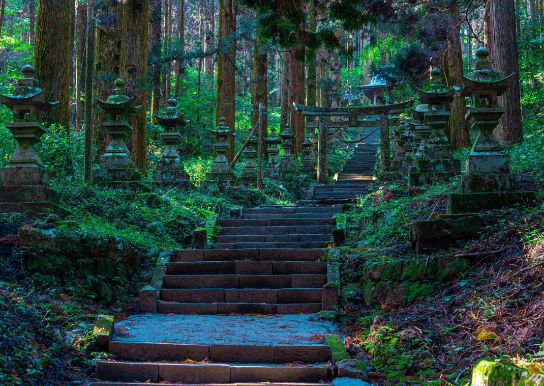 Forest shrine in Aso, Japan