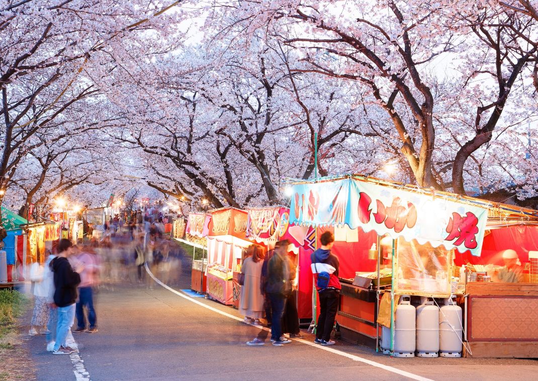 Sakura Matsuri Festival, Gifu, Japan