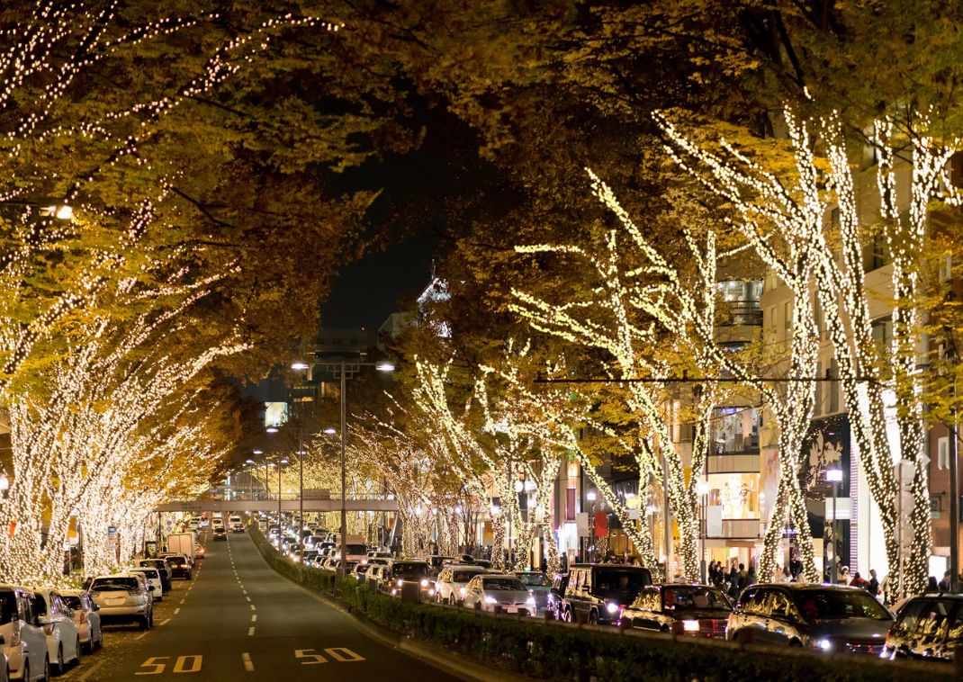 Omotesando at night, Tokyo, Japan