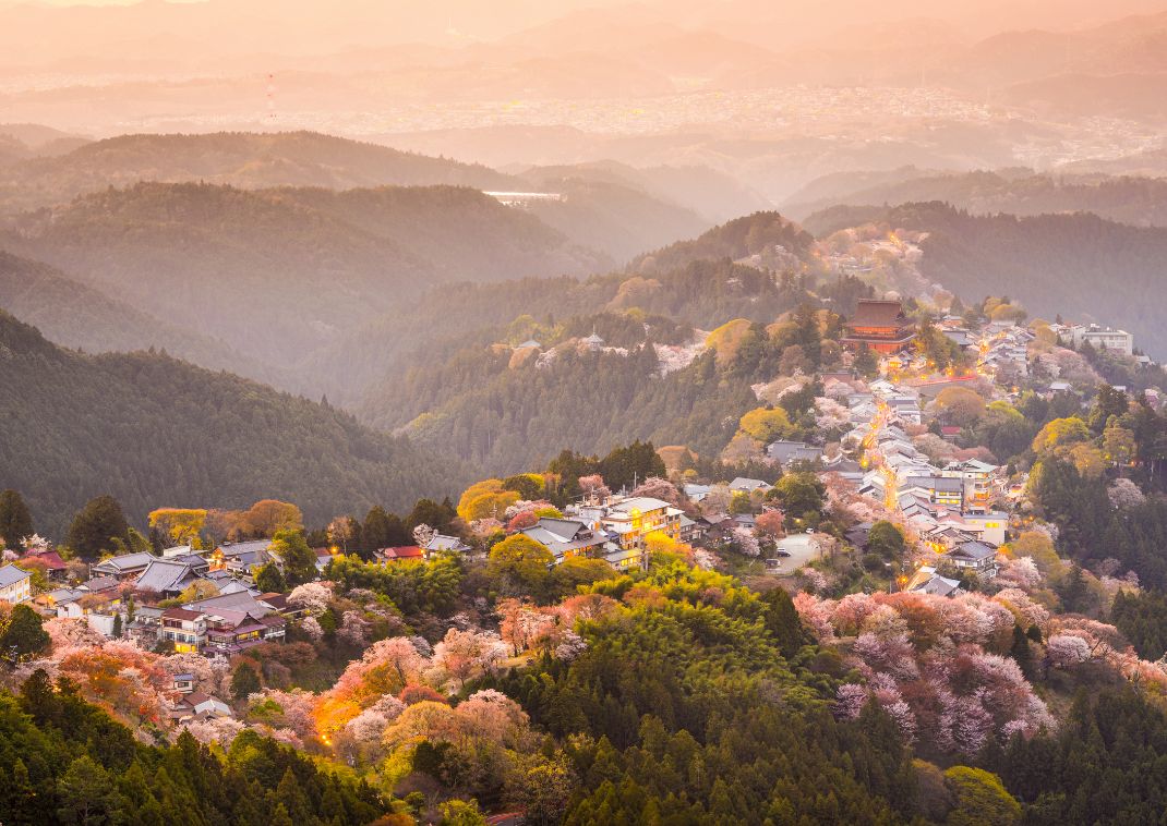 The view of the city and cherry trees in spring at Yoshinoyama, Nara