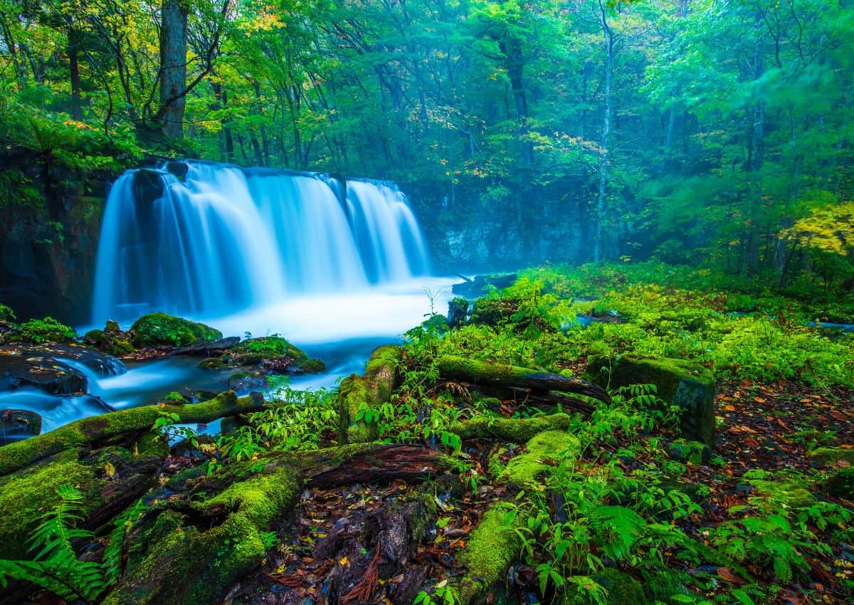 Oirase Gorge waterfall in forest, Aomori, Japan