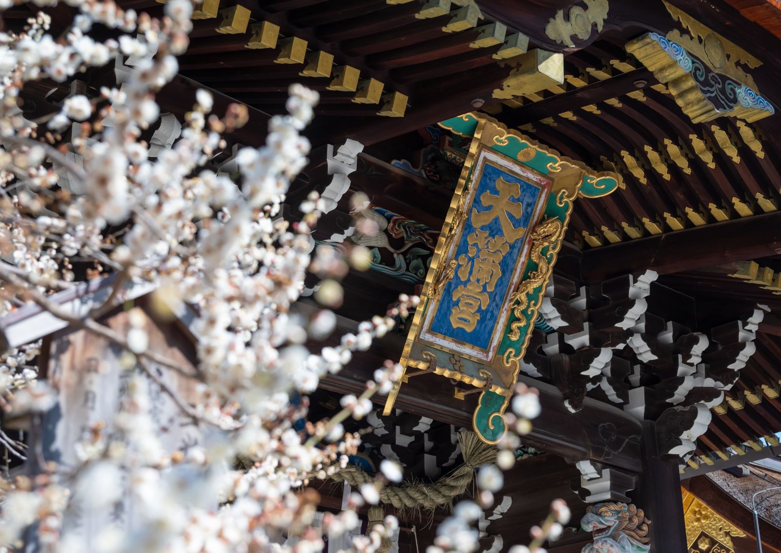 Kitano Tenmangu Shrine with plum blossoms, Kyoto, Japan