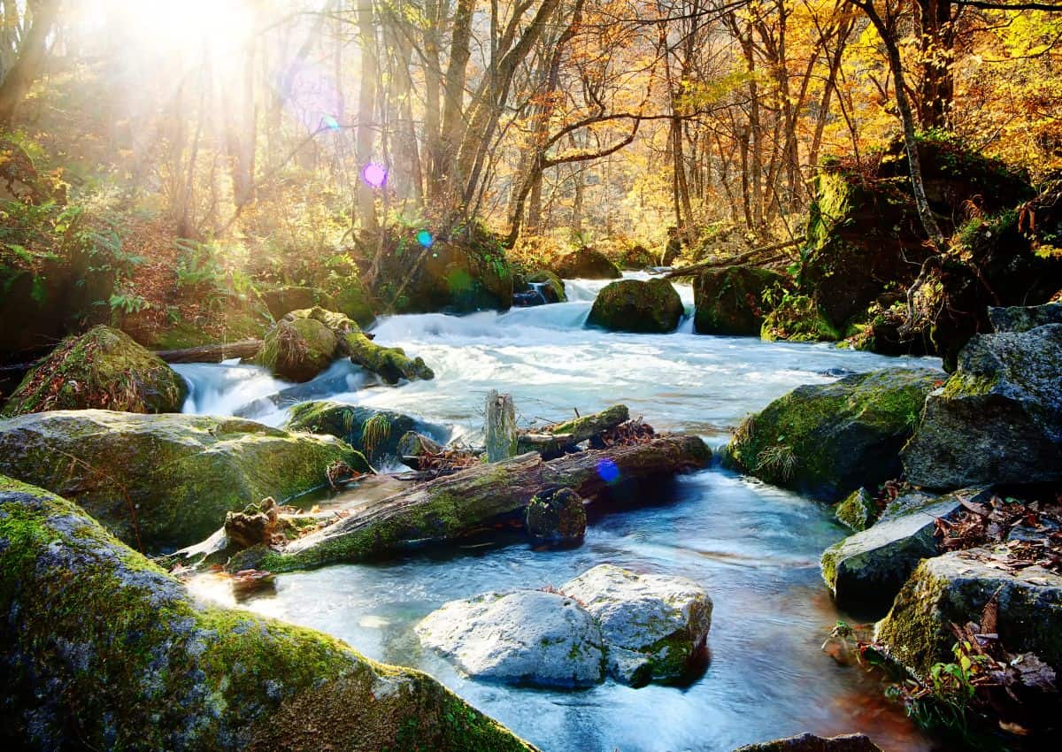 Oirase Gorge in autumn, Aomori, Japan