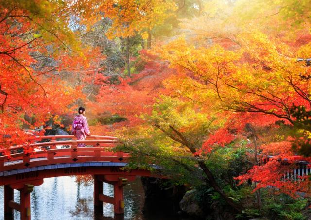 Japan in Autumn, garden