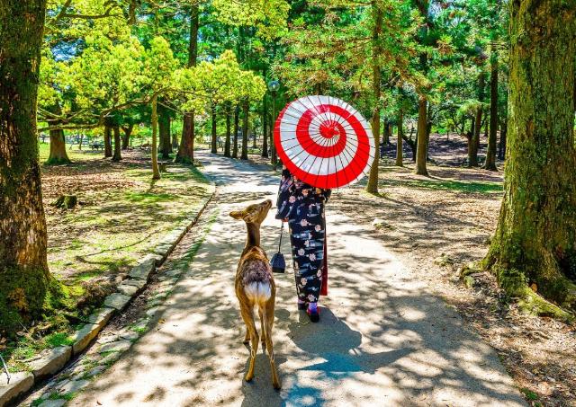 Woman in kimono with deer in Nara