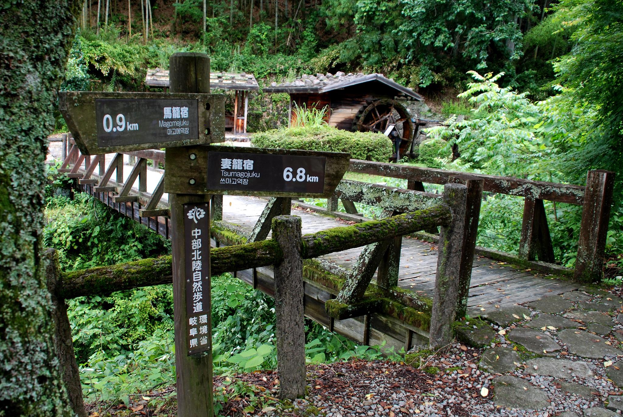 Kiso Valley and Nakasendo Trail - Excursion in Japan - Japanspecialist