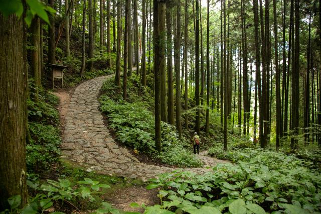 Nakasendo Trail 