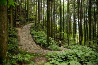 Nakasendo Trail 