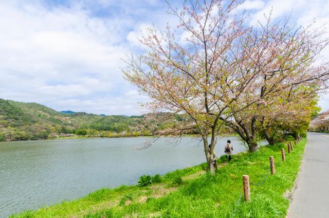 Hirosawa pond 