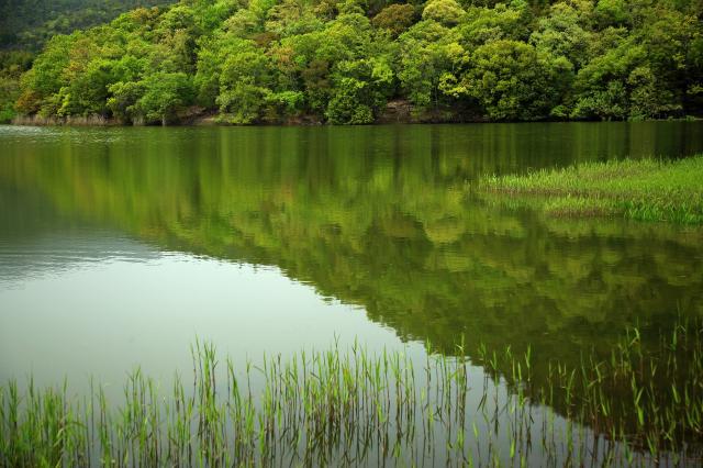 Hirosawa Pond 
